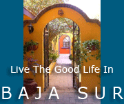 The Pleasure of Life in Baja Sur